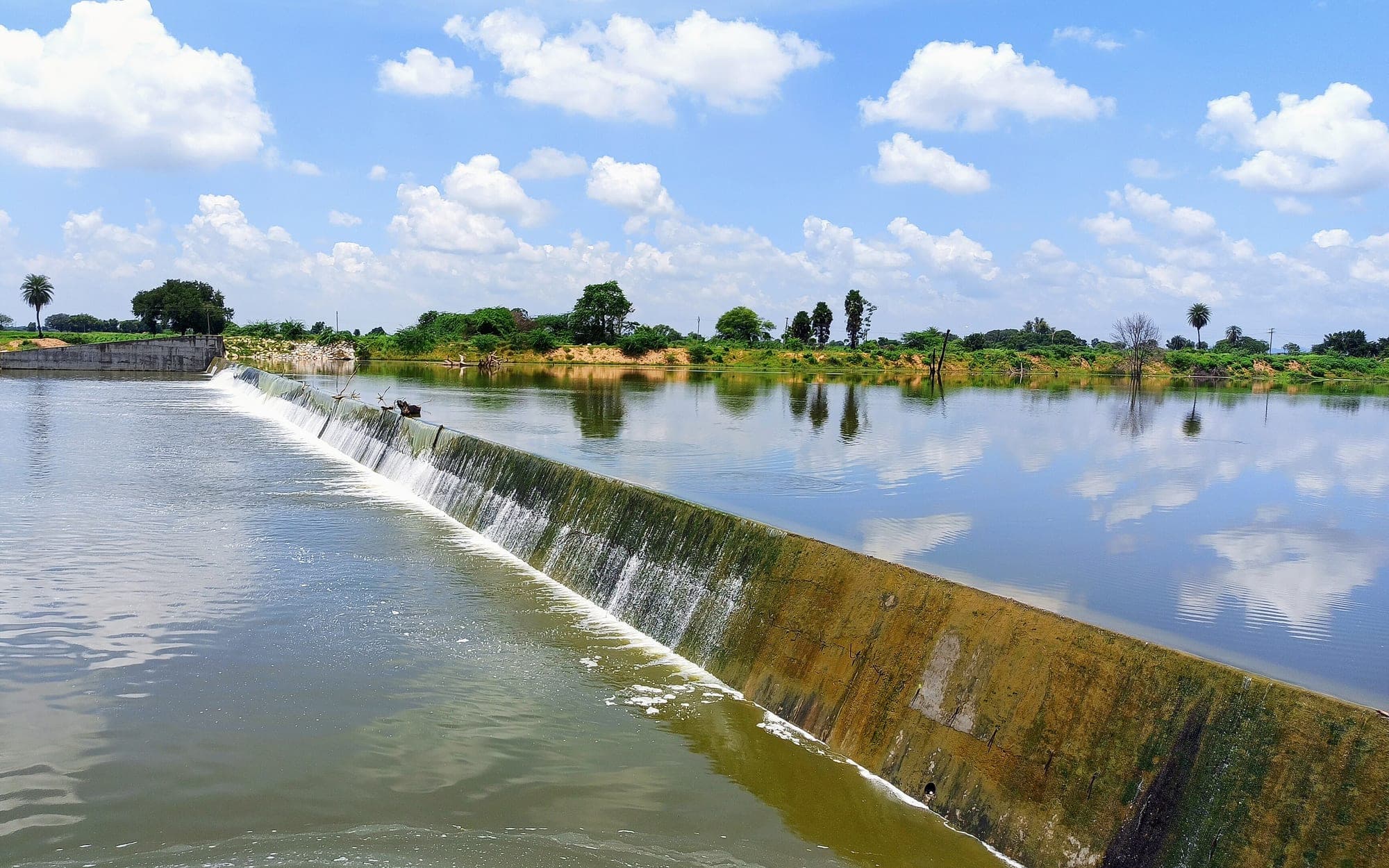 Water spilling over a village check dam in Telangana, with fields and trees beyond