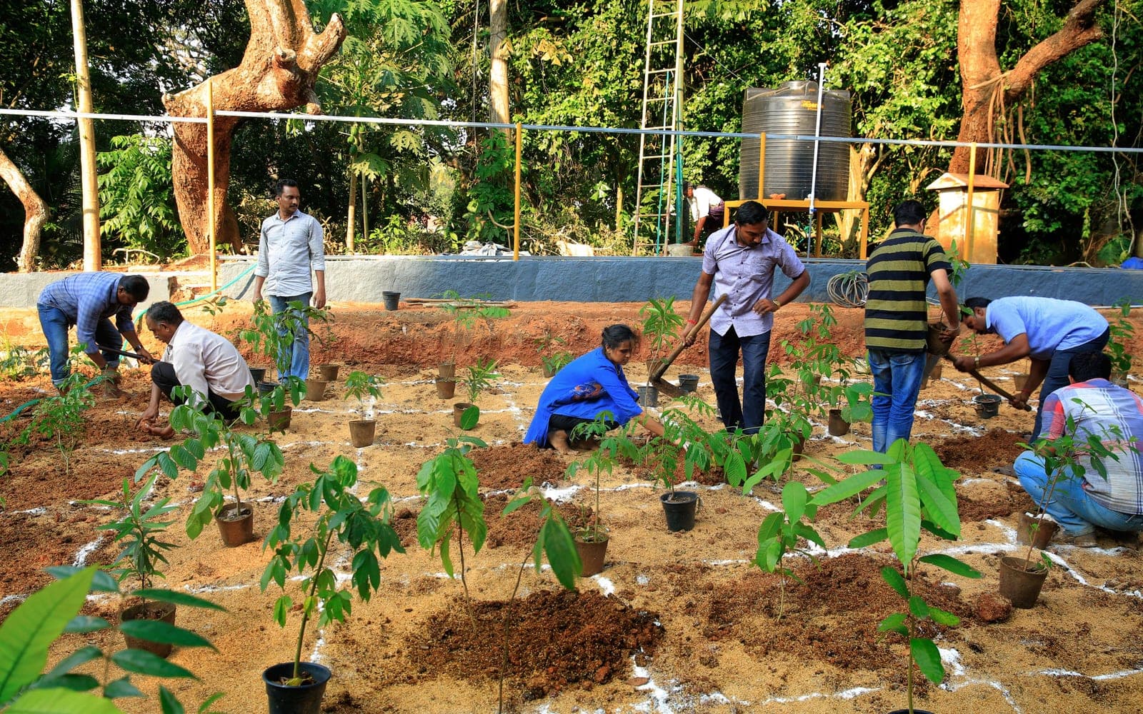 Volunteers planting saplings in a new urban forest plot at Kanakakunnu, Thiruvananthapuram