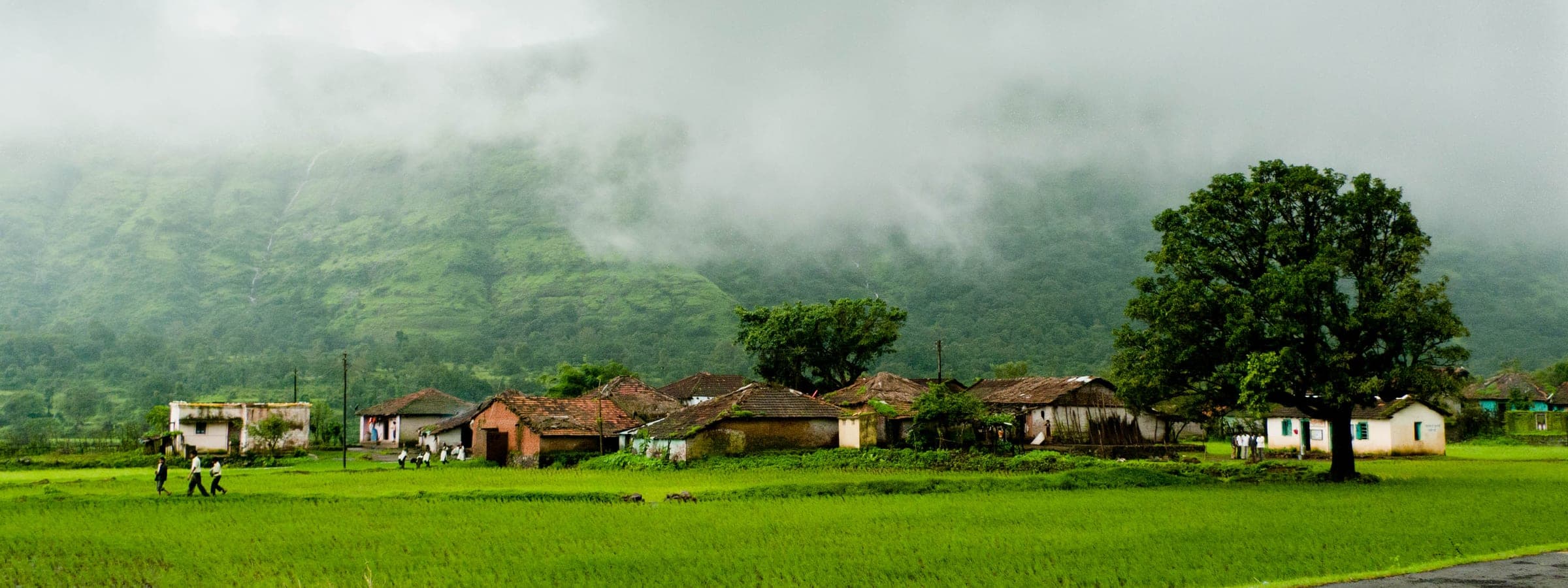 A village of tiled houses among green paddy fields below misty Sahyadri hills near Junnar, Pune district