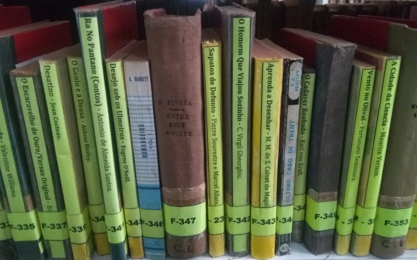 Library books on a shelf, each spine labelled with its catalogue number