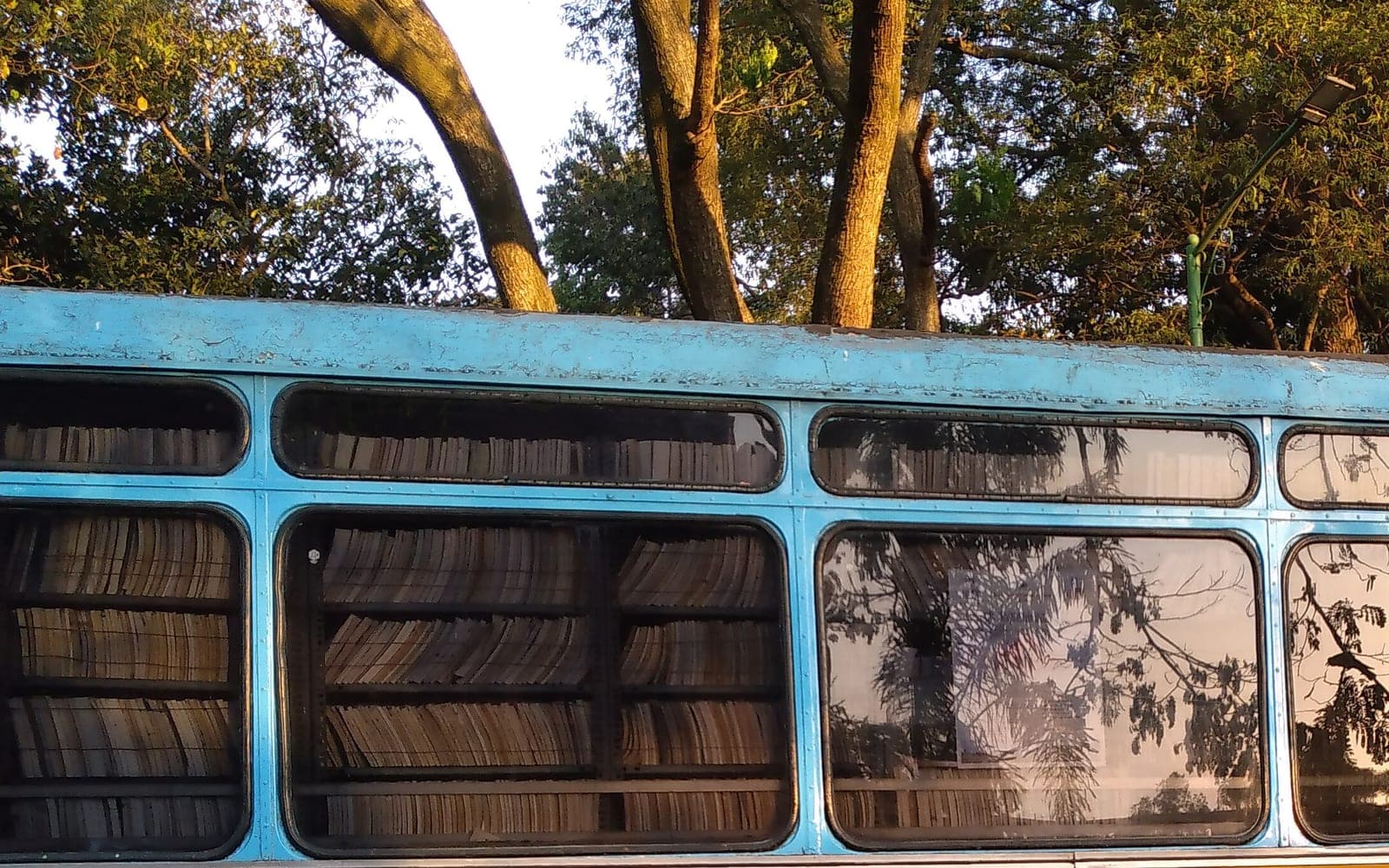 Shelves of books behind the windows of a blue mobile library bus parked under trees